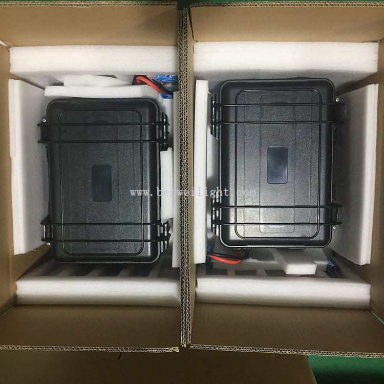 lithium ion battery cell