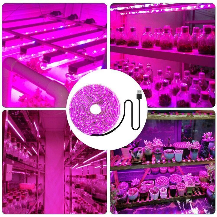 USB LED Grow Light Strip 1 USB LED Grow Light Strip 1