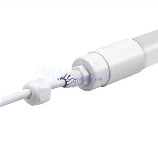 Rasvjeta u nastambama za krave