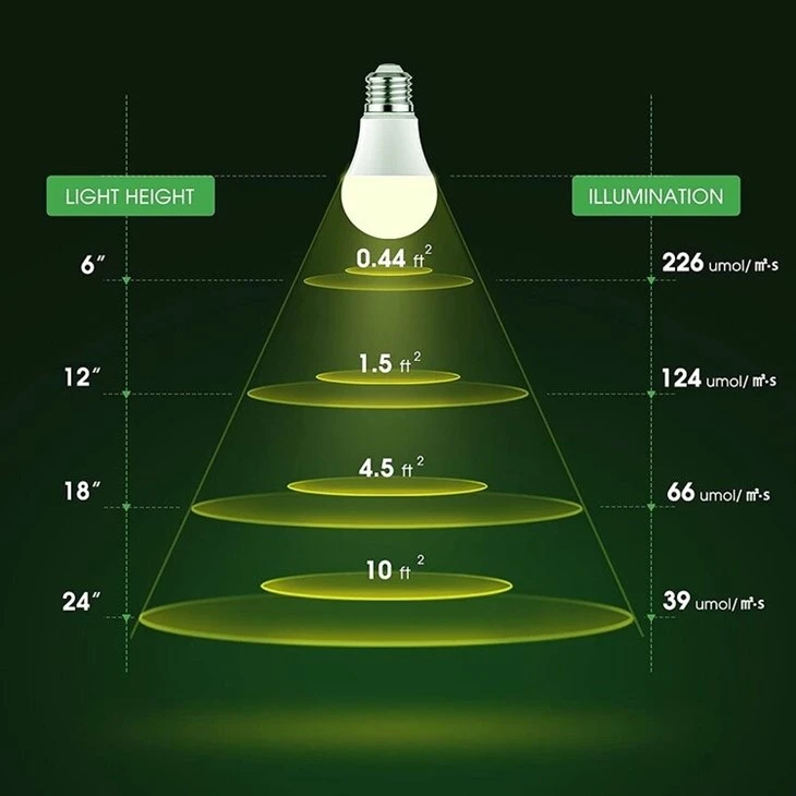 full spectrum light bulbs 2