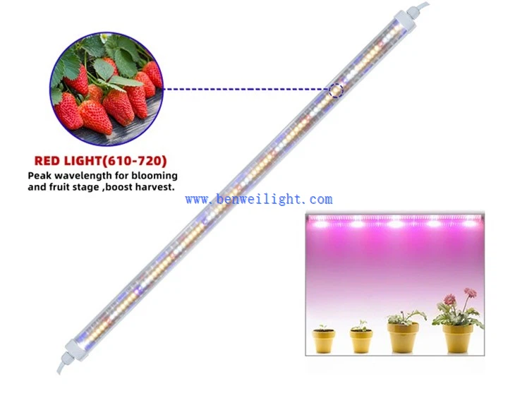 luz uv para plantas