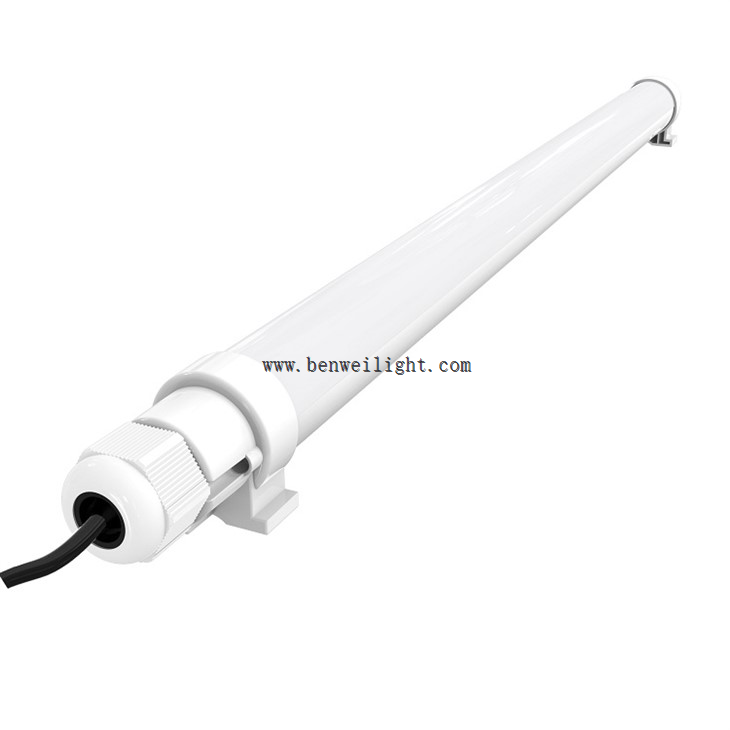 LED Lighting For Laying Hens