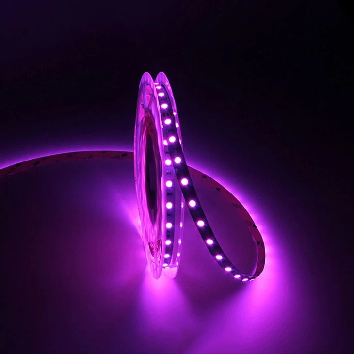 5050 smd led strip lights 3