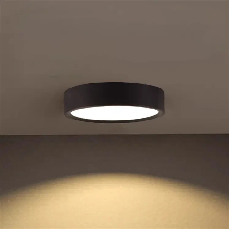 1067 Lightroom Gallery - Indoor Surface Mount LED Downlight best