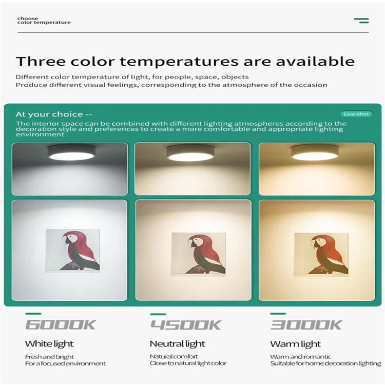 product-750-750