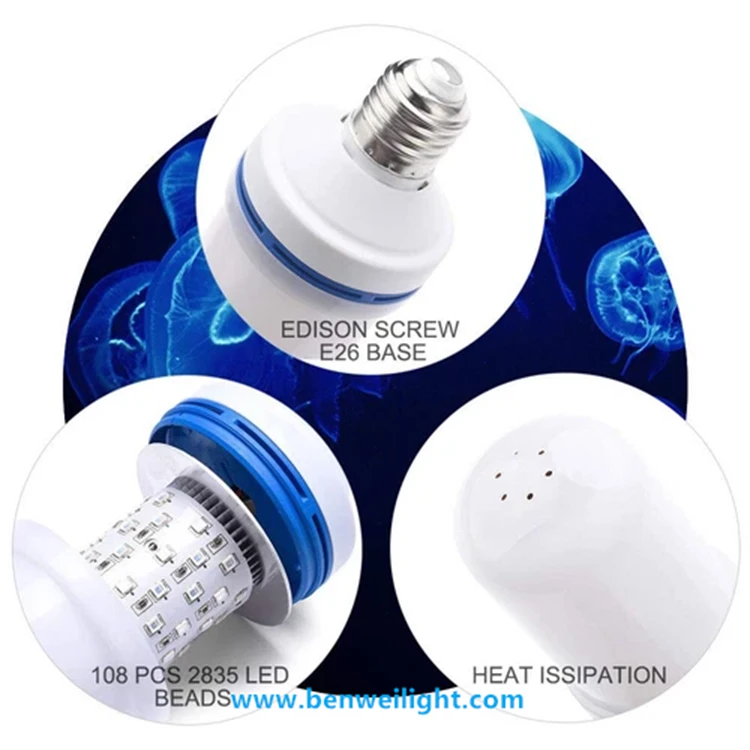 product-750-750 product-750-750