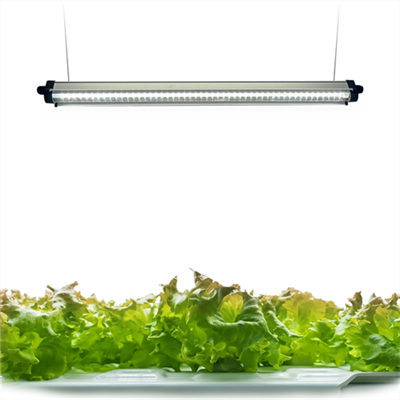 LED svjetlo za rast, 3-glava crveno-plavo-bijelo svjetlo za biljke punog spektra