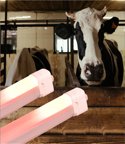 Pametno IP66 LED svjetlo za farmu (mliječni proizvodi/Perad)
